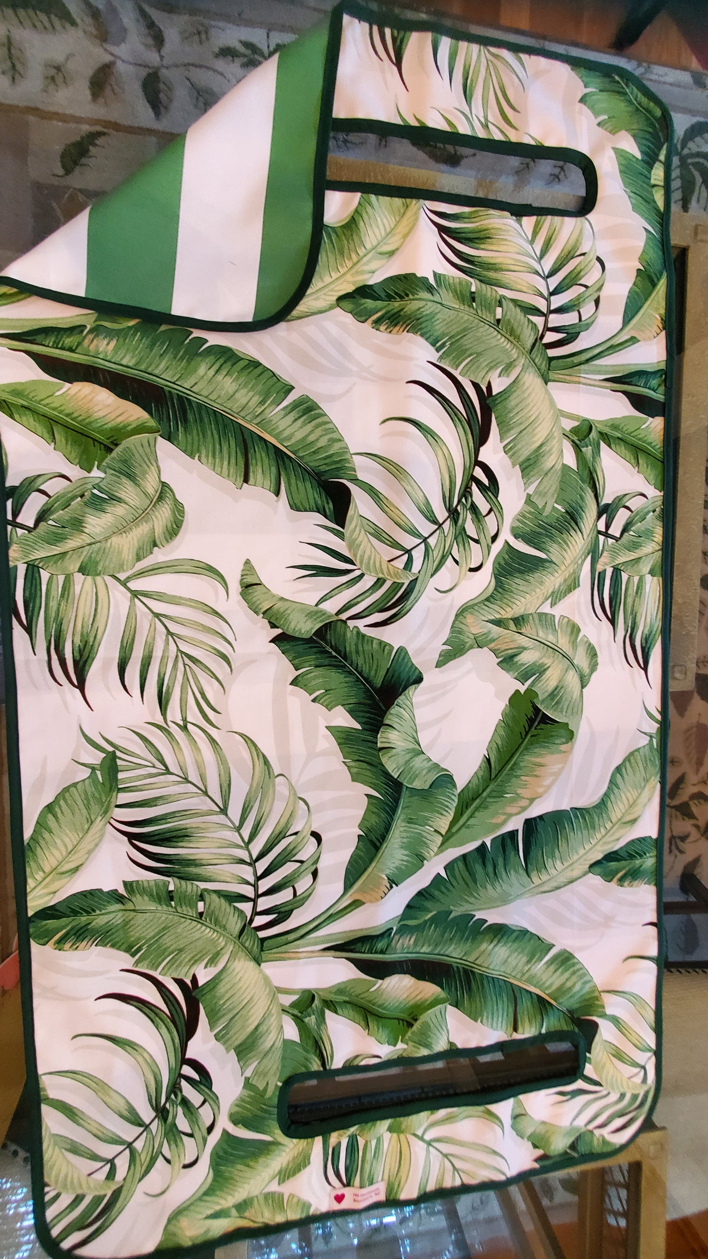 Tommy Palms